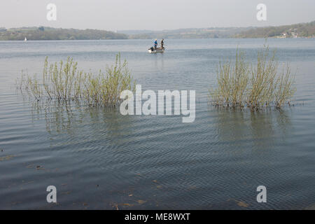 Bewl Water reservoir Kent England UK Stock Photo