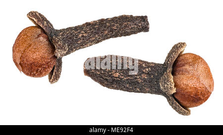 Two beautiful fragrant cloves in close-up. Syzygium aromaticum. Dried flower buds of spices with the distinctive aroma. Isolated on white background. Stock Photo