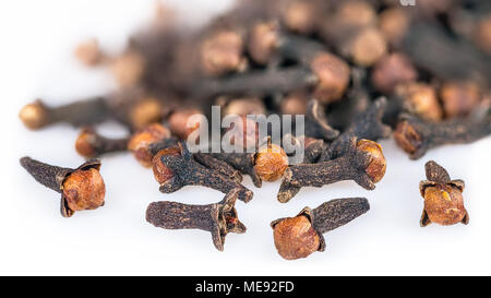 Pile of aromatic dried cloves in close-up. Syzygium aromaticum. Scatterred flower buds of healthy spices with distinctive scent on white background. Stock Photo