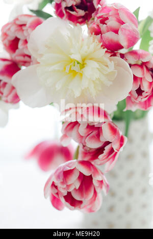 Tulips and Peonies in a pitcher Stock Photo