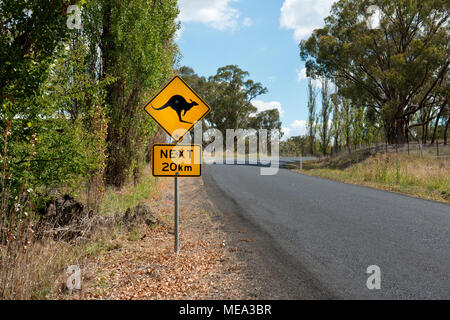 Kangaroo warning sign. New South Wales, Australia Stock Photo