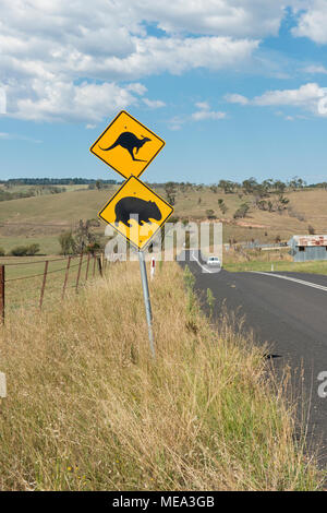 Kangaroo and Possum road sign. New South Wales, Australia Stock Photo