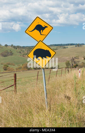 Kangaroo and Possum road sign. New South Wales, Australia Stock Photo