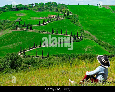 Winding cypress-lined swithback road at the Tuscan town of La Foce in spring. Stock Photo