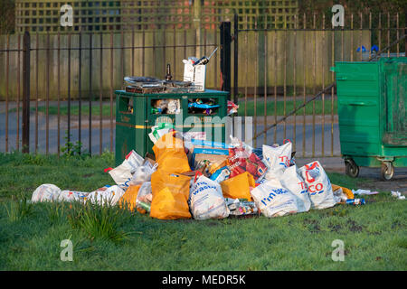 Overflowing litter bin in south park after a sunny day. Oxford, Oxfordshire, England Stock Photo