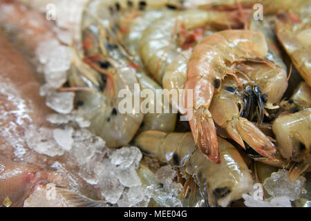 raw fish of prawn tails at a fish mongers Stock Photo