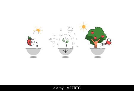 Steps of plant growth. Timeline infographic design. vector illustration Stock Vector