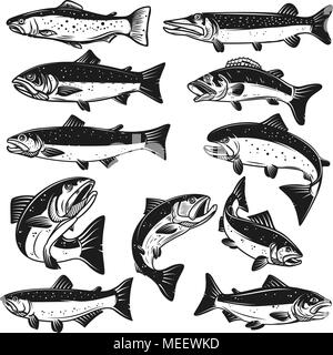 Big set of fish illustrations. Pike, salmon, trout, perch. Design elements for fishing logo, label, emblem, sign. Vector illustration Stock Vector