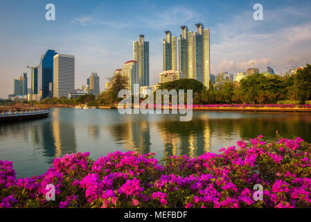 Lake Ratchada situated in the Benjakitti Park in Bangkok, Thailand Stock Photo