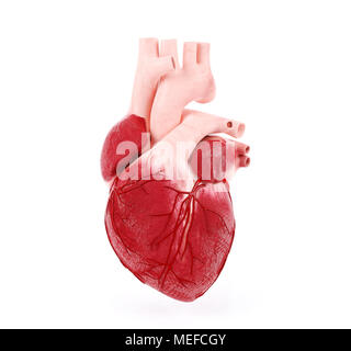 Human Heart 3D Illustration isolated on black background Stock Photo ...