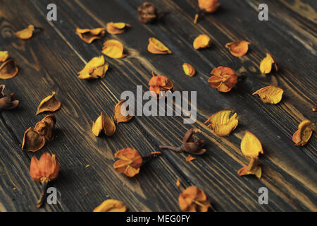 petals of dried flowers on wooden background Stock Photo
