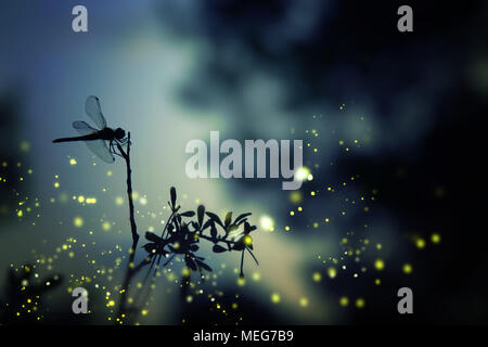Abstract and magical image of dragonfly silhouette and Firefly flying in the night forest. Fairy tale concept Stock Photo