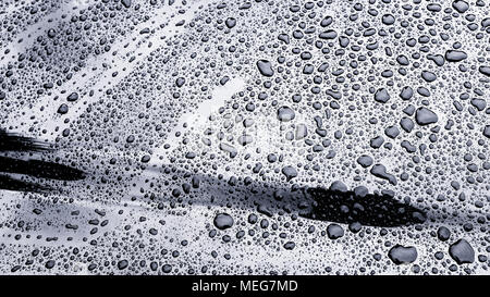 Water beading on a clean car windshield Stock Photo