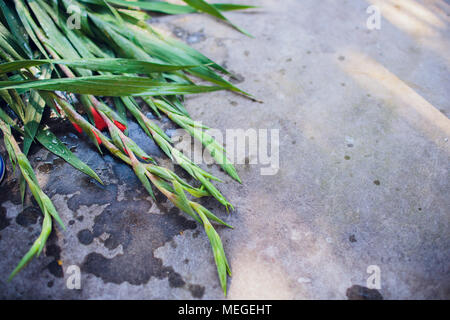bunch of red tulips on a grey stone background Stock Photo