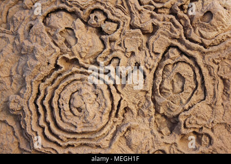 Stromatolite Fossil Patterns, Cretaceous Stock Photo