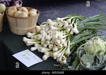Fresh organic Candy Onions on display and for sale at a local Farmers Market Stock Photo