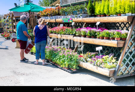 couple selecting plants at a garden centre Stock Photo