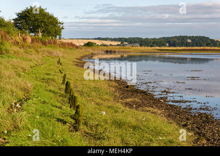 Part of the old Wooden Quay that used to be at the Lurgies at the Montrose Tidal Basin near Montrose Town, in Angus Scotland. Stock Photo