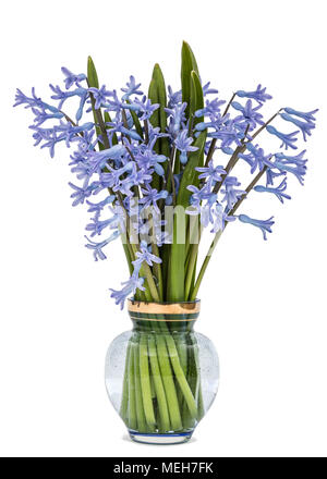 Bouquet of purple hyacinths in a vase, isolated on white background Stock Photo