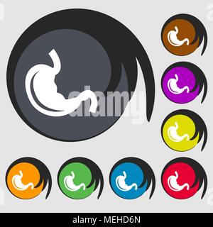 Stomach sign icon. Symbols on eight colored buttons. Vector illustration Stock Vector