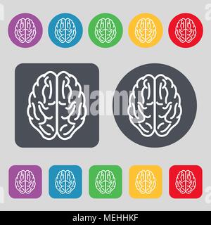 Brain icon sign. A set of 12 colored buttons. Flat design. Vector illustration Stock Vector