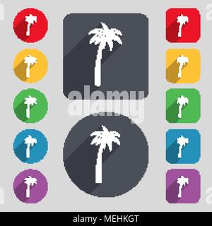 Palm icon sign. A set of 12 colored buttons and a long shadow. Flat design. Vector illustration Stock Vector