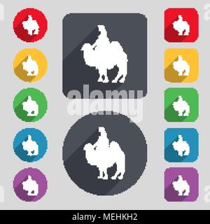 Camel icon sign. A set of 12 colored buttons and a long shadow. Flat design. Vector illustration Stock Vector
