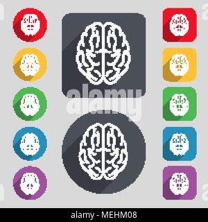 Brain icon sign. A set of 12 colored buttons and a long shadow. Flat design. Vector illustration Stock Vector