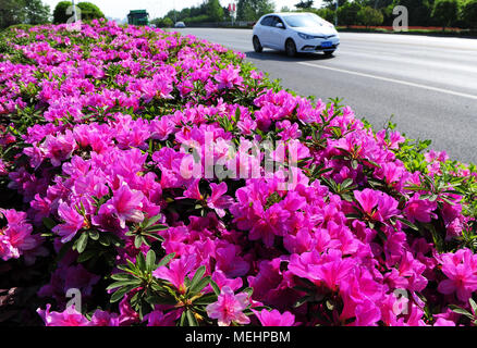 Suzhou, China's Jiangsu Province. 22nd Sep, 2020. Jiang Zhe (R) of ...