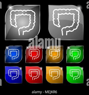 large intestine icon sign. Set of ten colorful buttons with glare. Vector illustration Stock Vector