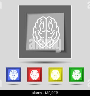 Brain icon sign on original five colored buttons. Vector illustration Stock Vector