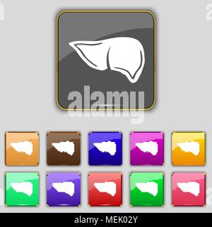 Liver icon sign. Set with eleven colored buttons for your site. Vector illustration Stock Vector