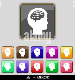 Brain icon sign. Set with eleven colored buttons for your site. Vector illustration Stock Vector
