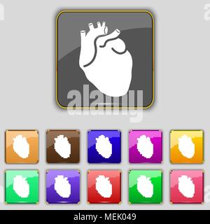 Human heart icon sign. Set with eleven colored buttons for your site. Vector illustration Stock Vector