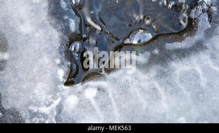Blakc and wIce Background Stock Photo