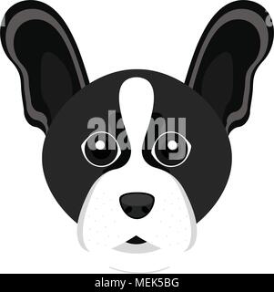 Cute Boston Terrier dog avatar Stock Vector
