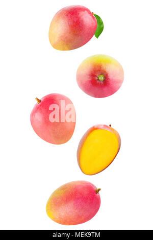 Isolated flying fruits. Falling Whole mango isolated on white background with clipping path as package design element and advertising. Stock Photo