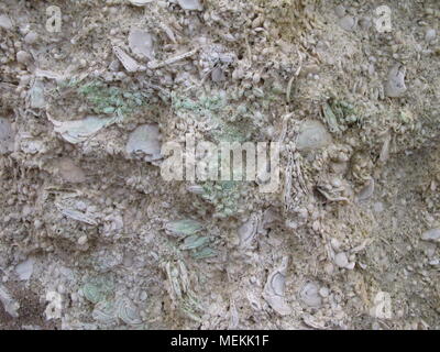 Stone texture background Stock Photo