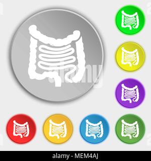 Intestines icon sign. Symbol on eight flat buttons. Vector illustration Stock Vector