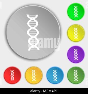 DNA icon sign. Symbol on eight flat buttons. Vector illustration Stock Vector
