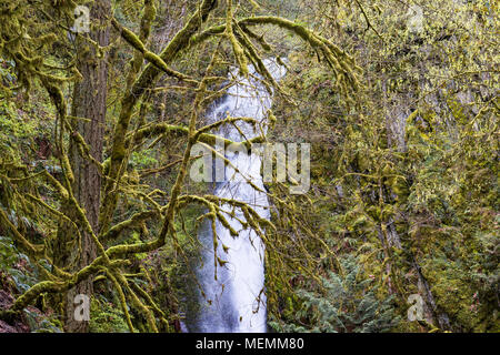 Little Niagara Falls, Goldstream Provincial Park, British Columbia, Canada. Stock Photo