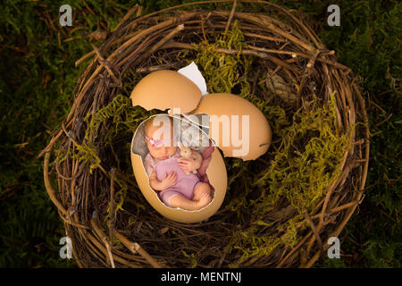 Adorable newborn baby sleeping in a broken egg in a nest.  Also available without the baby as a digital backdrop for your own baby. Stock Photo