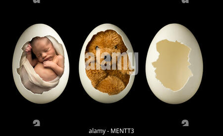 Newborn baby boy sleeping in a broken egg Stock Photo