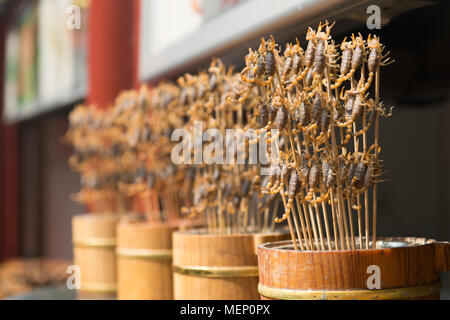 Grill and fried scorpions on stick from Wangfujing street at Beijing, China Stock Photo