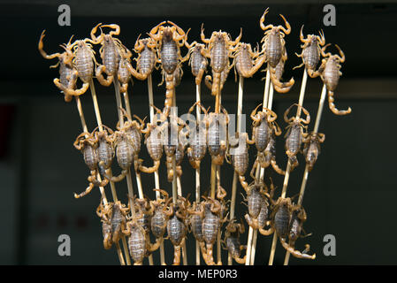 Grill and fried scorpions on stick from Wangfujing street at Beijing, China Stock Photo