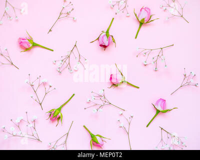 Top view of pink roses over pink background. Abstract floral background. Stock Photo
