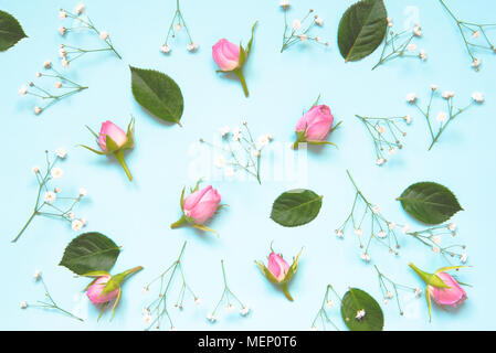 Top view of pink roses and green leaves over blue background. Abstract floral background. Stock Photo