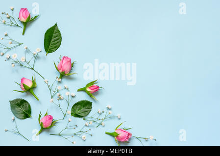 Top view of pink roses and green leaves over blue background. Abstract floral background. Copy space. Stock Photo