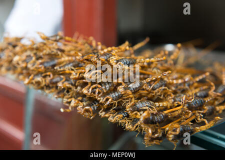 Grill and fried scorpions on stick from Wangfujing street at Beijing, China Stock Photo