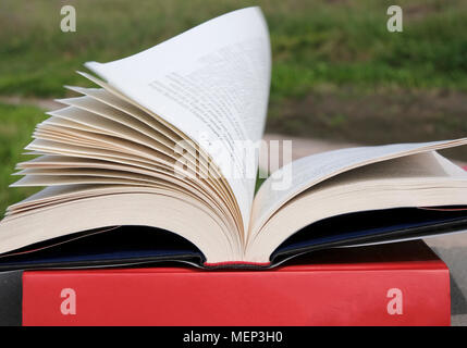 open book with flying pages Stock Photo